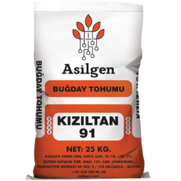 KIZILTAN 91 Makarnalk Buday Tohumu